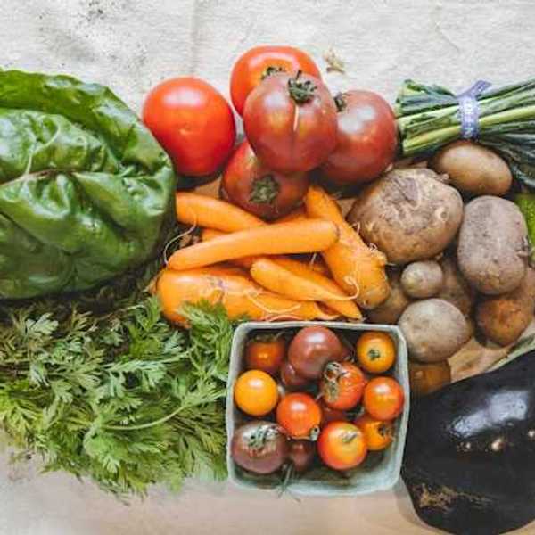 An overhead view of a pile of vegetables