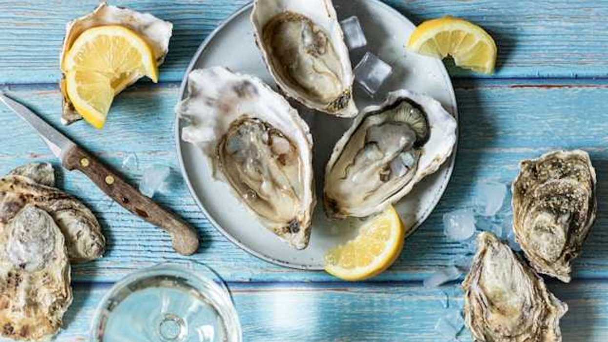 An overhead view of a plate of oysters