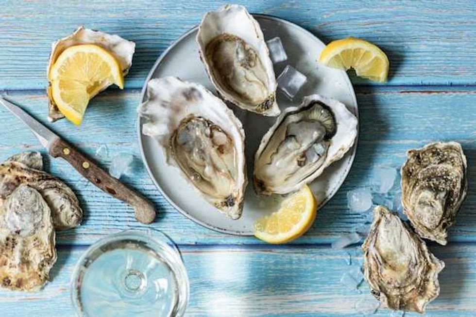 Microplastic pollution may be stressing oysters along the Gulf coast