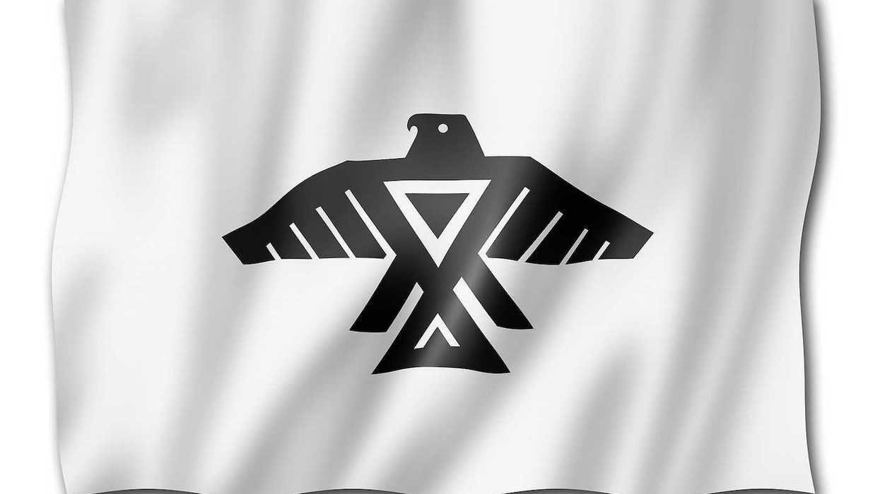 Anishinaabe people ethnic flag, Canada. Black thunderbird on white background.