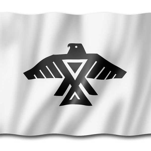 Anishinaabe people ethnic flag, Canada. Black thunderbird on white background.