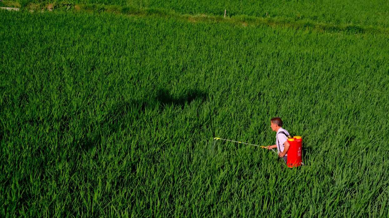 Another PFAS-containing pesticide headed for US registration