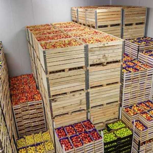 Apples and pears stacked in wooden crates in a warehouse
