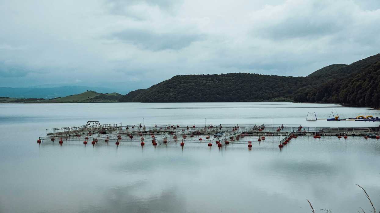 Aquaculture operation on the water with mountains in background.