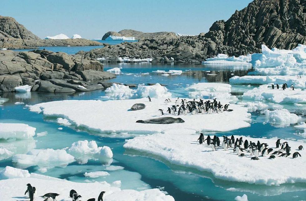 ‘At first, the idea does sound crazy’: meet the scientists trying to refreeze the Arctic