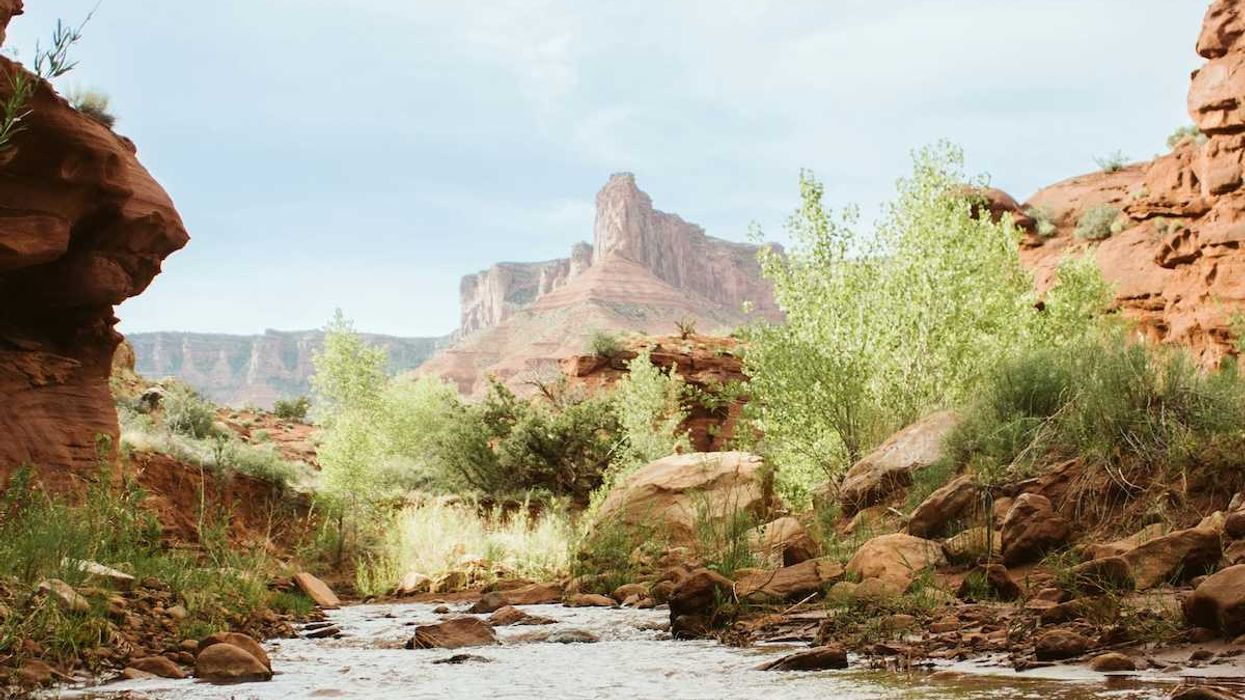 arroyo in the arid Southwest canyon country with water running through it