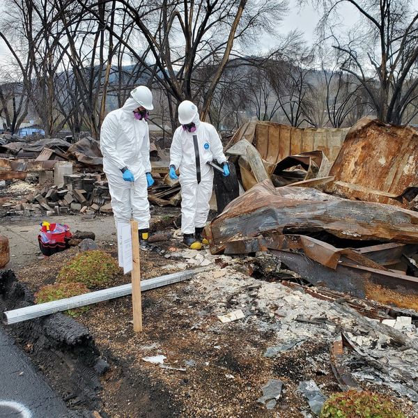 asbestos