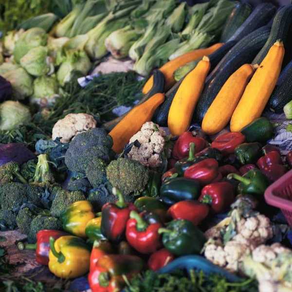 Assortment of fresh produce — broccoli, peppers, cauliflower, squash, and cabbages.