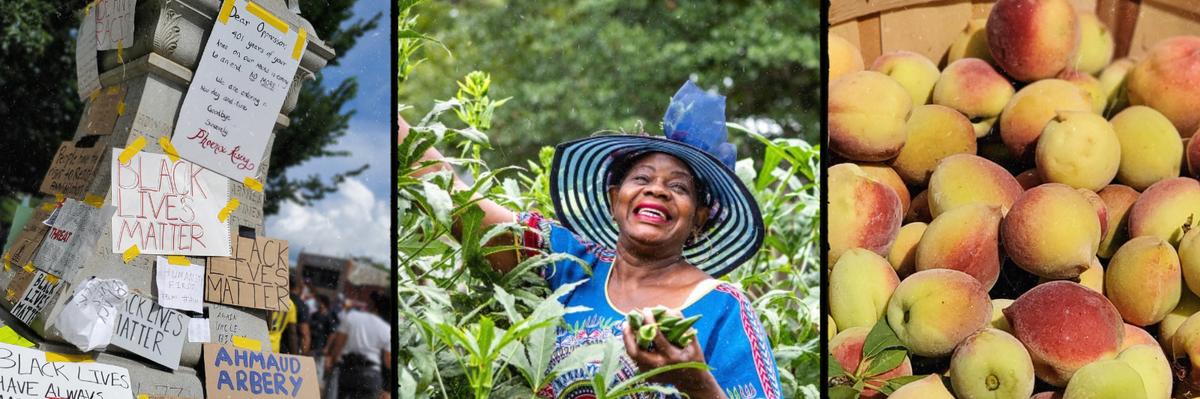 Atlanta urban farming