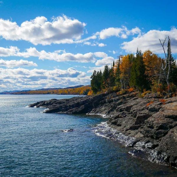 New research traces how PFAS move through the Great Lakes and into people