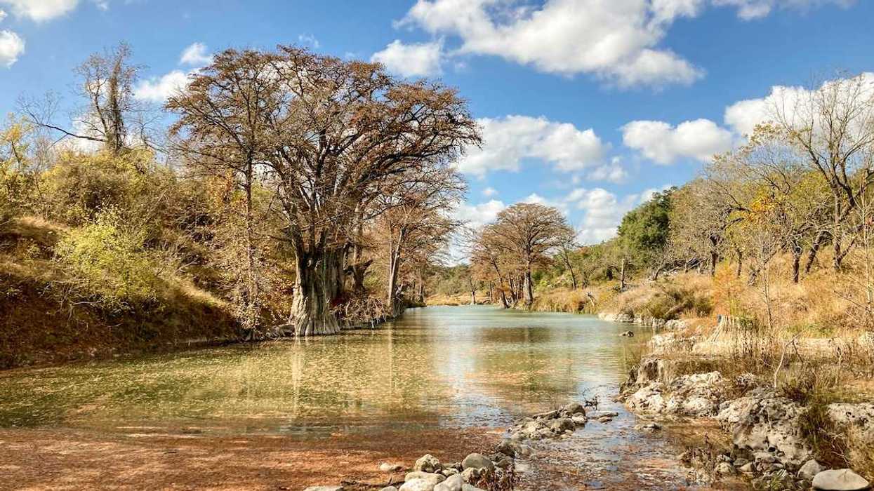 Autumn trees and foliage along the clear water of the Guadalupe River in Texas.