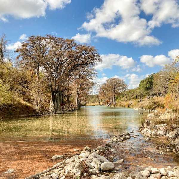Autumn trees and foliage along the clear water of the Guadalupe River in Texas.