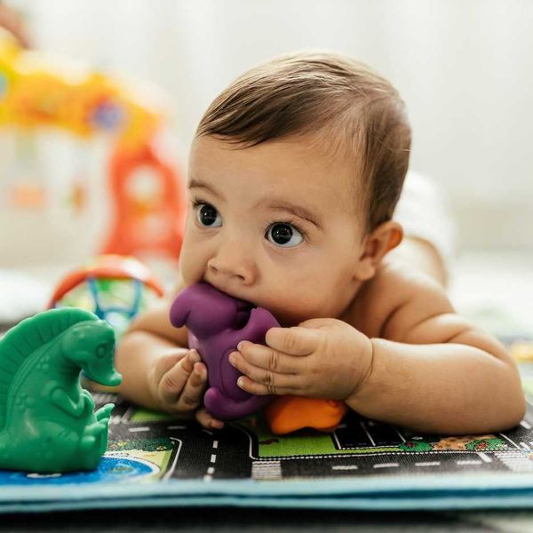 'Safe' BPA substitutes tied to fertility damage and fetal harm