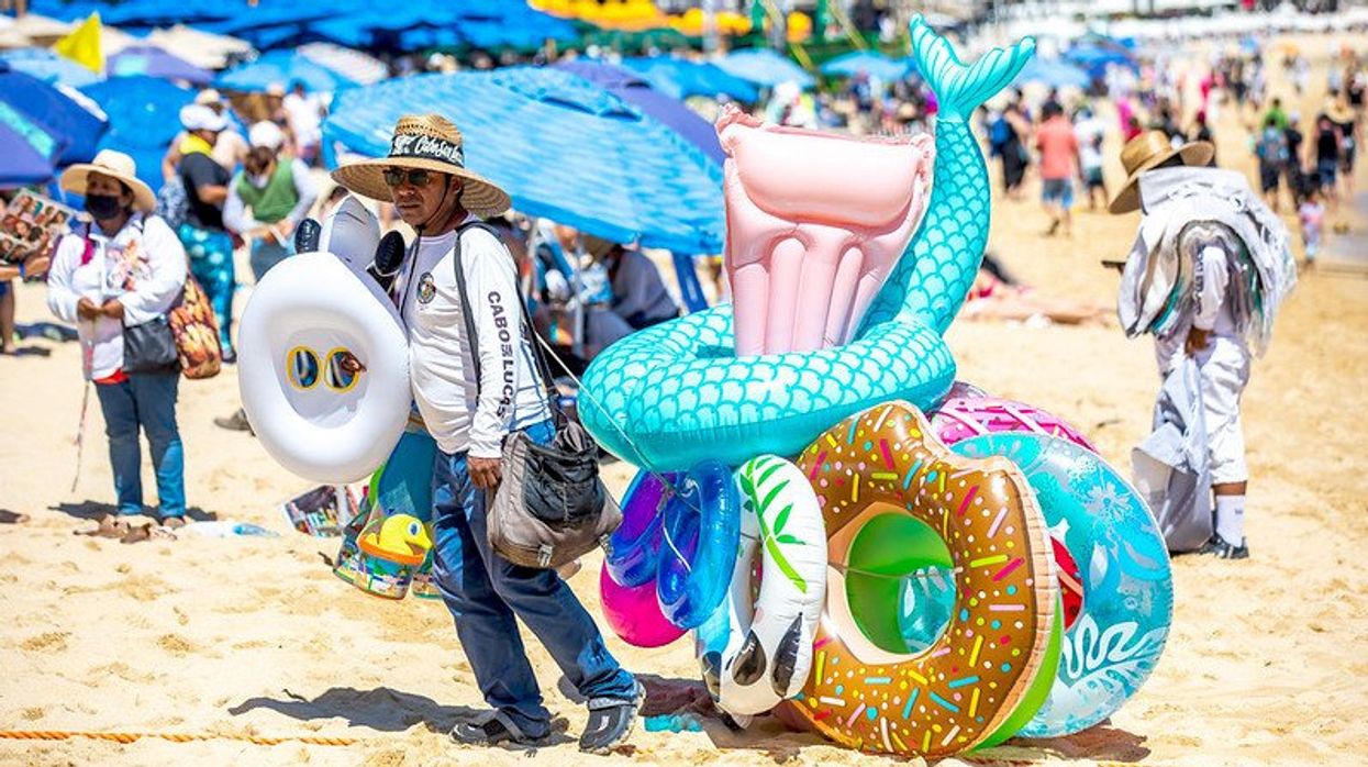 Baja California marine ecosystem