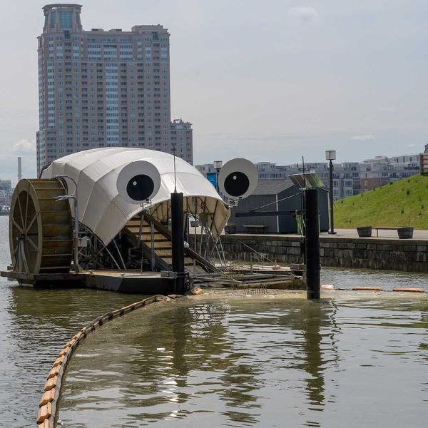 Baltimore's inner harbor water wheel scoops up debris in the harbor for eventual disposal.