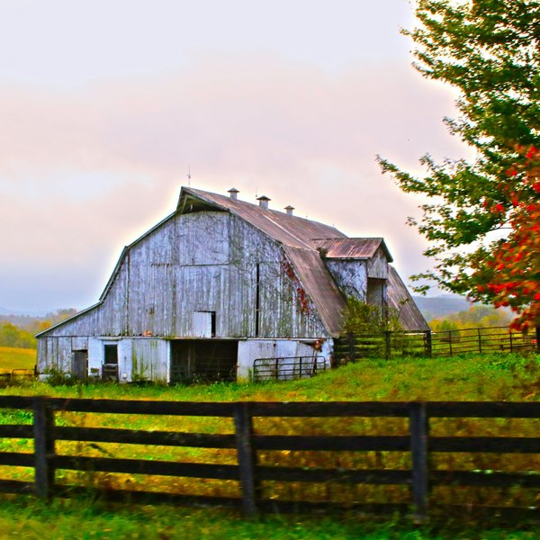barn on a farm