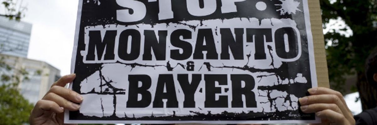 WATCH: Investigative reporter talks about Bayer/Monsanto's efforts to discredit her work