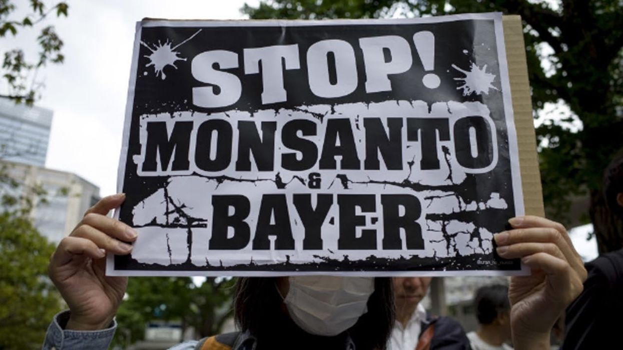 WATCH: Investigative reporter talks about Bayer/Monsanto's efforts to discredit her work