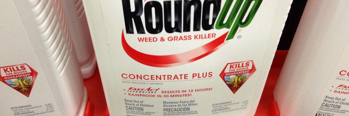 Bayer Roundup Monsanto