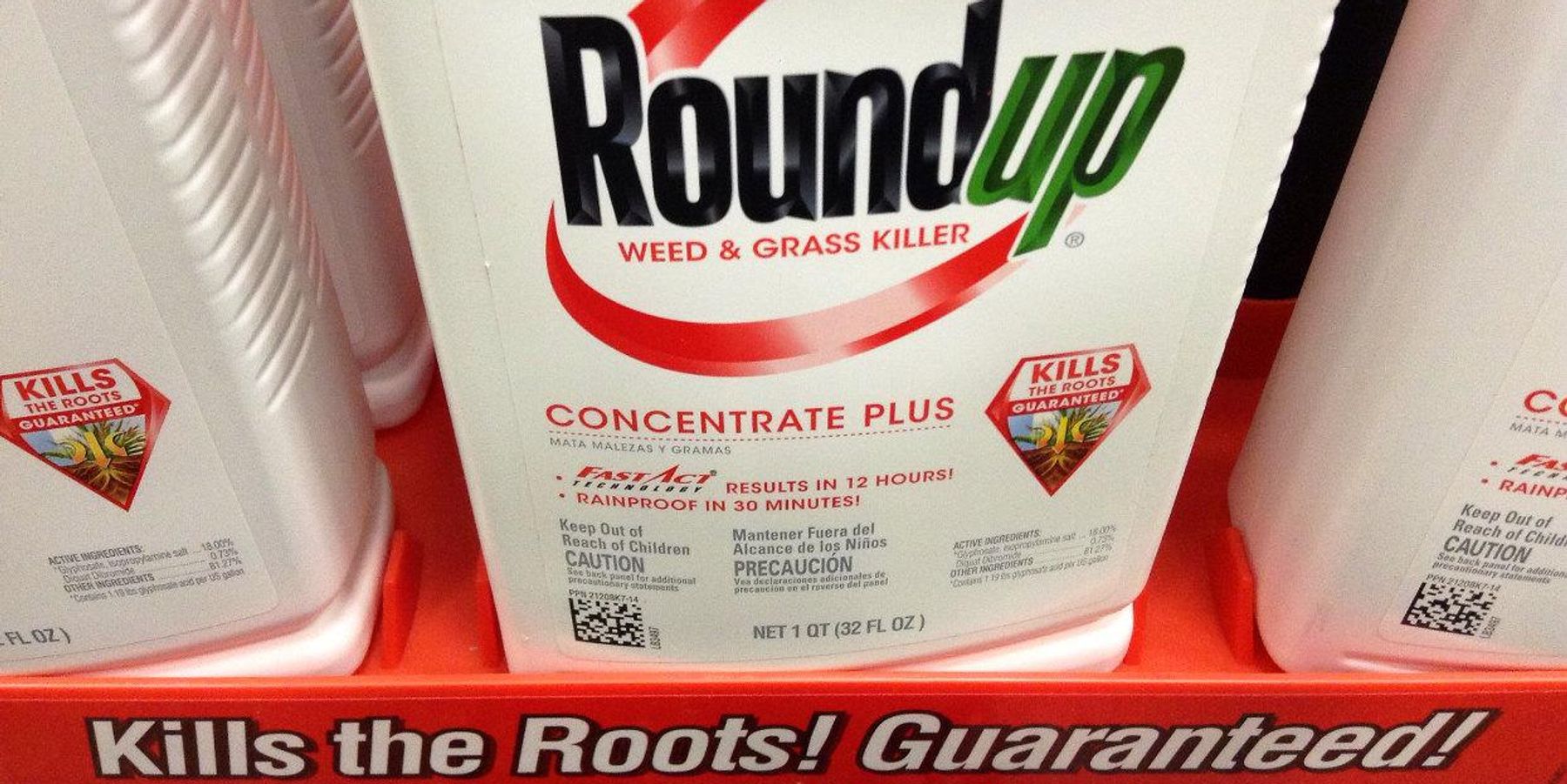 Bayer Roundup Monsanto