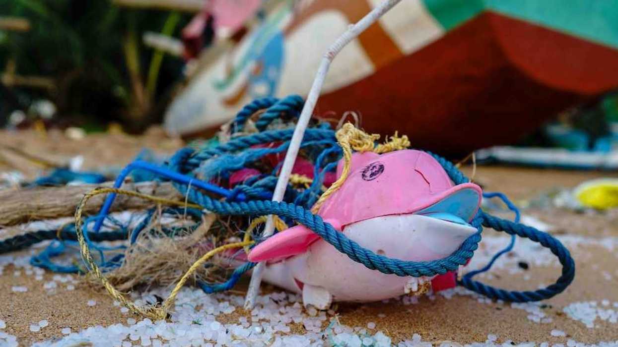 Beach plastic consisting of plastic nurdles, rope and twine, pink and white dolphin toy with a beached boat in the background