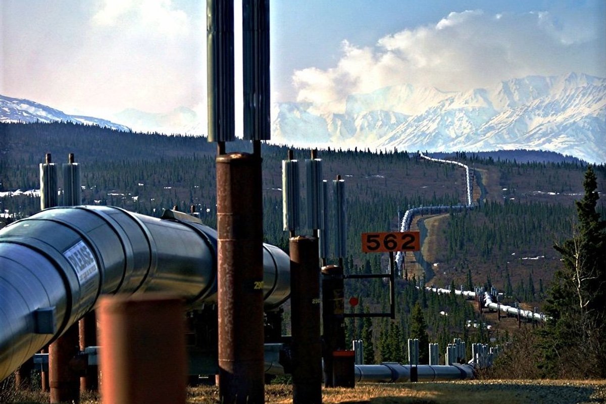 Biden's Arctic policy curbs drilling