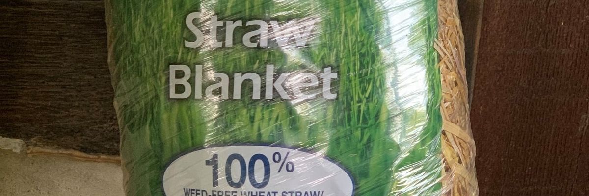 My 'photodegradable' plastic mulch just killed two snakes