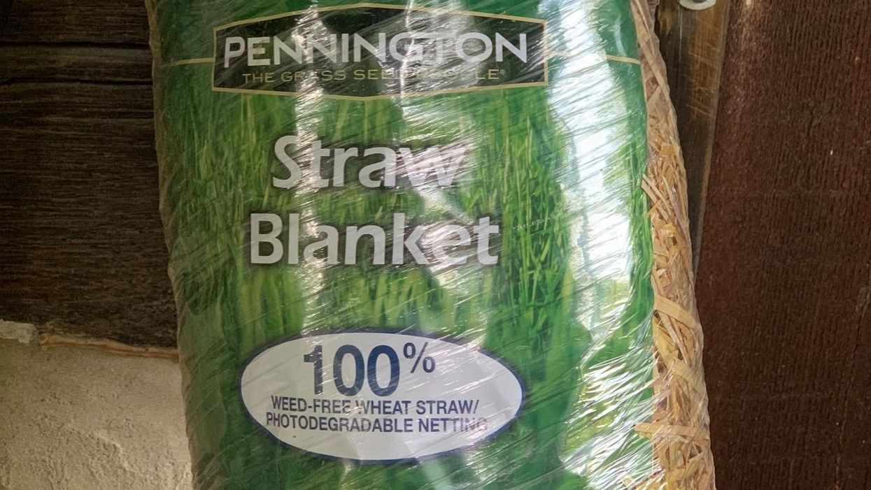 My 'photodegradable' plastic mulch just killed two snakes