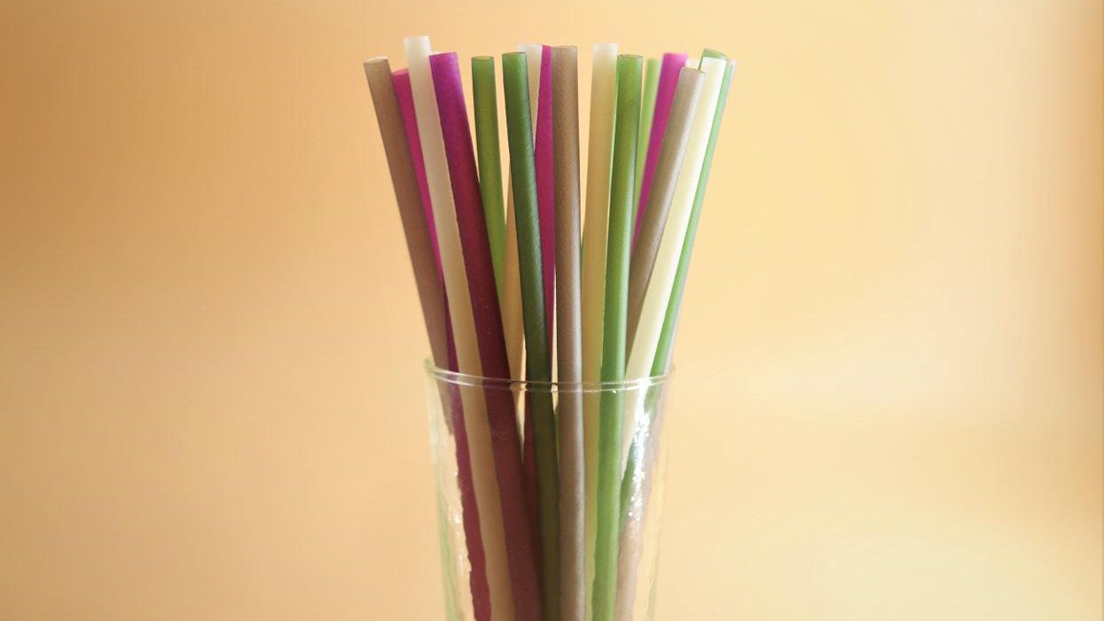 Biodegradable straws