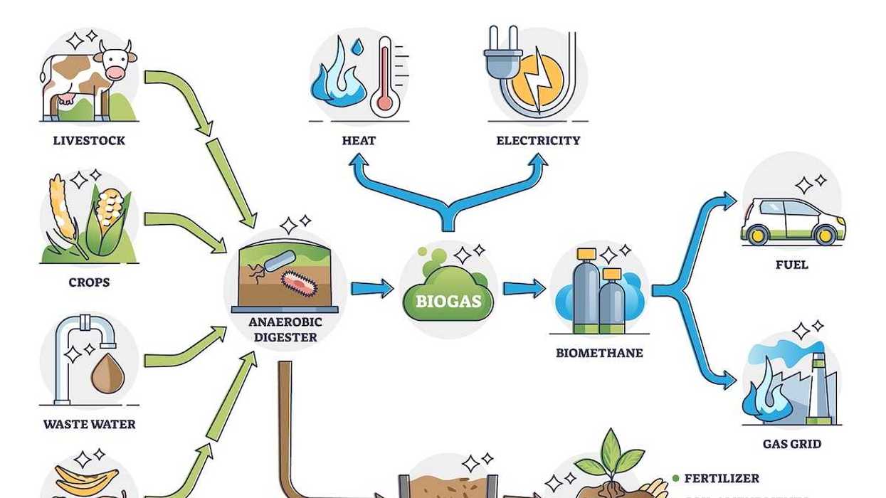 Biogas or bio gas division for energy consumption and sources outline diagram.