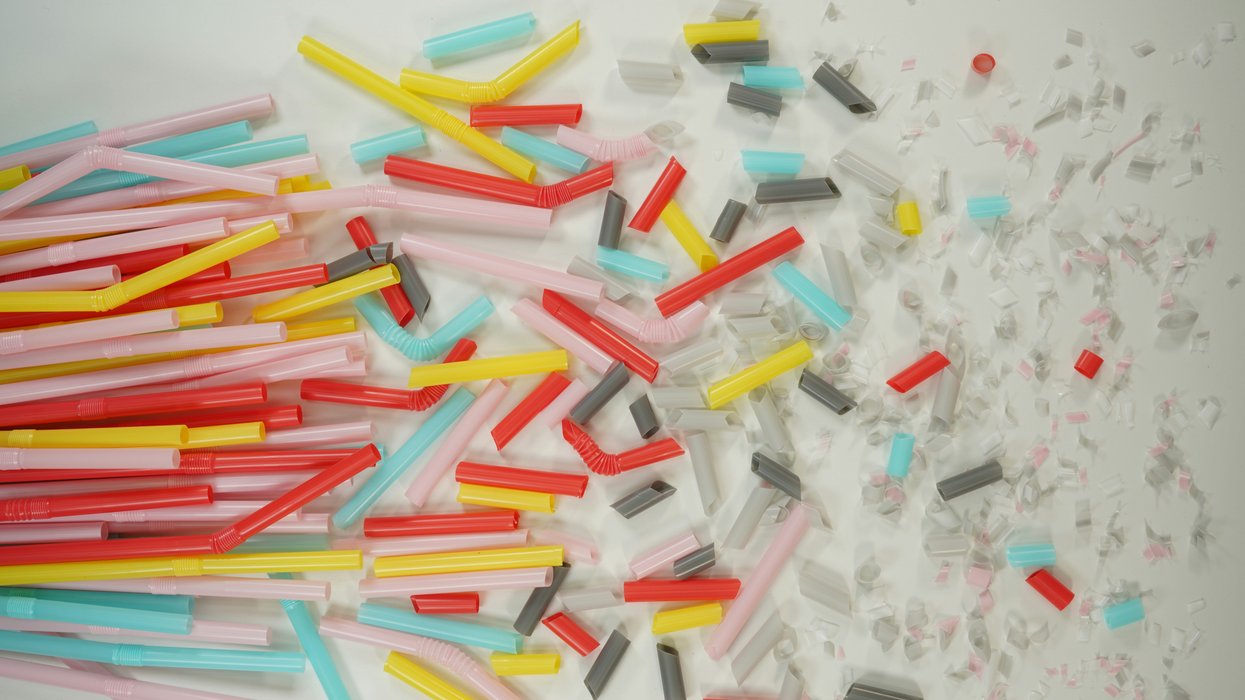 bits and pieces of plastic straws