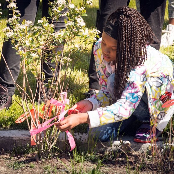 Black communities climate resilience