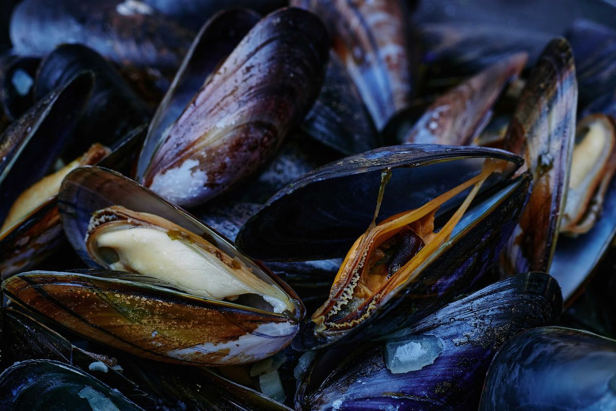 Mussels reveal growing microplastic pollution in Greece's prized seas