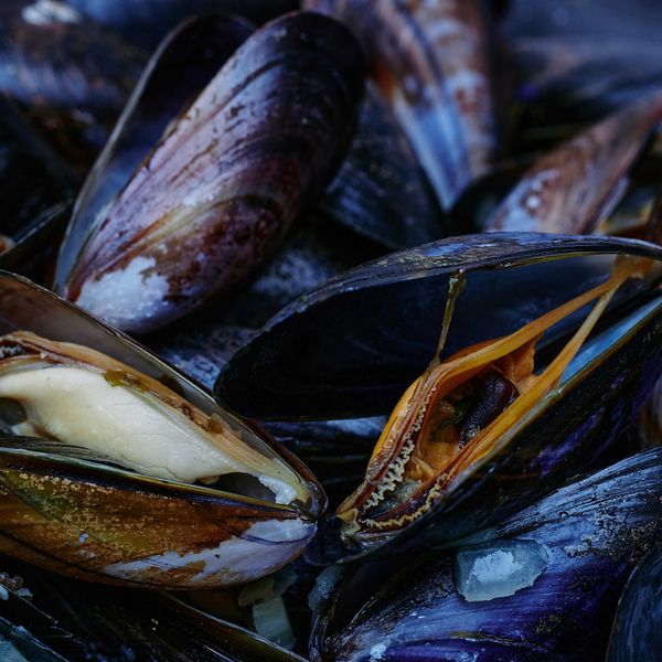 Black mussels in a pile