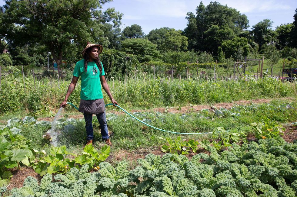Black Philadelphia farming