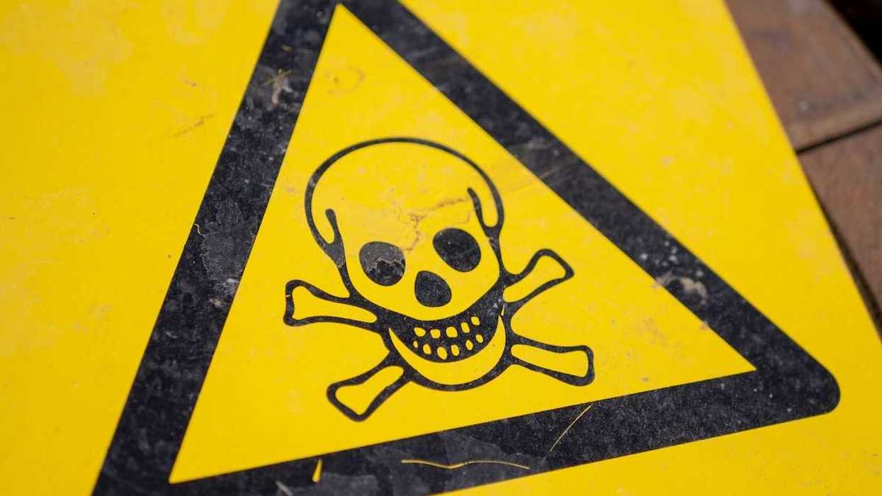 Black triangle on yellow background with black skull & crossbones denoting toxics