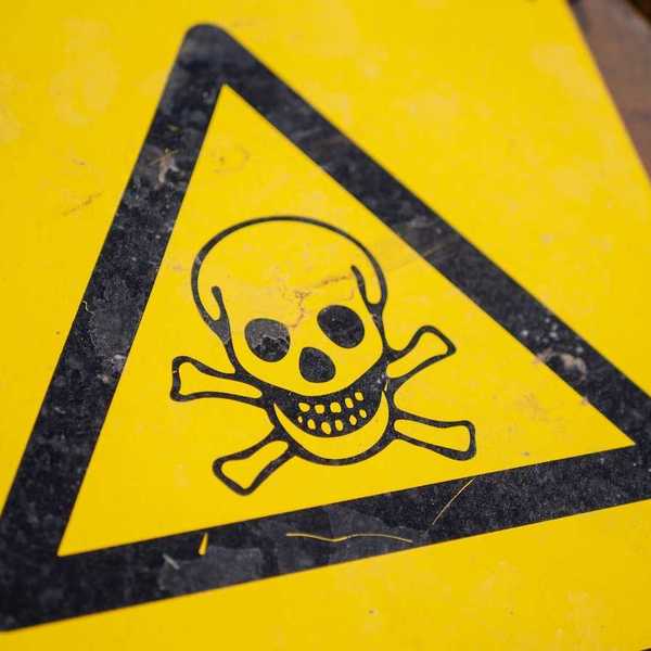 Black triangle on yellow background with black skull & crossbones denoting toxics