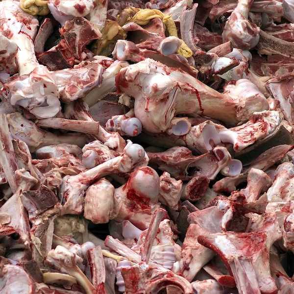 Bloody animal remains from an industrial slaughterhouse