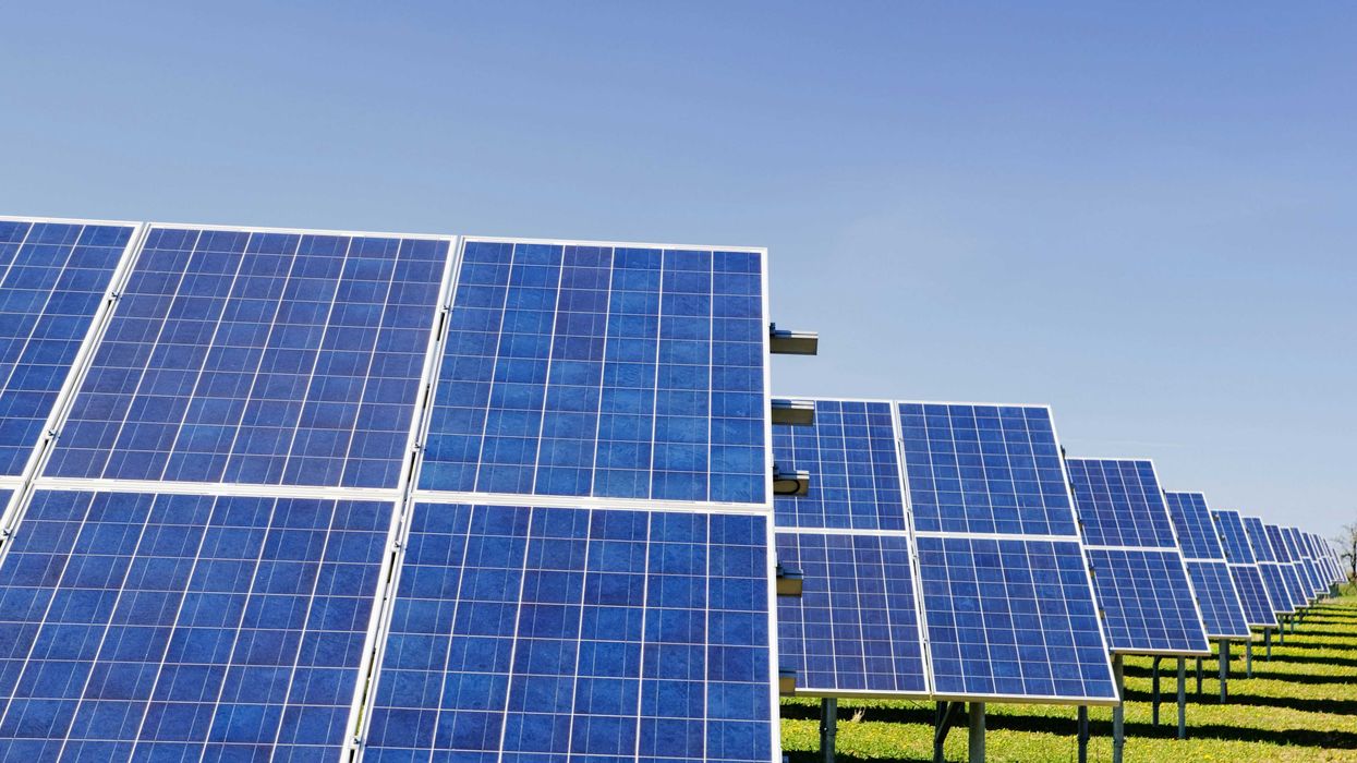 blue solar panels on green grass.