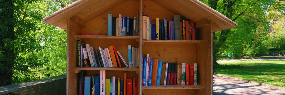 Books on an outdoor bookshelf shaped like a house, with trees in background.