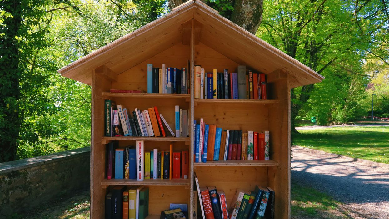 Books on an outdoor bookshelf shaped like a house, with trees in background.