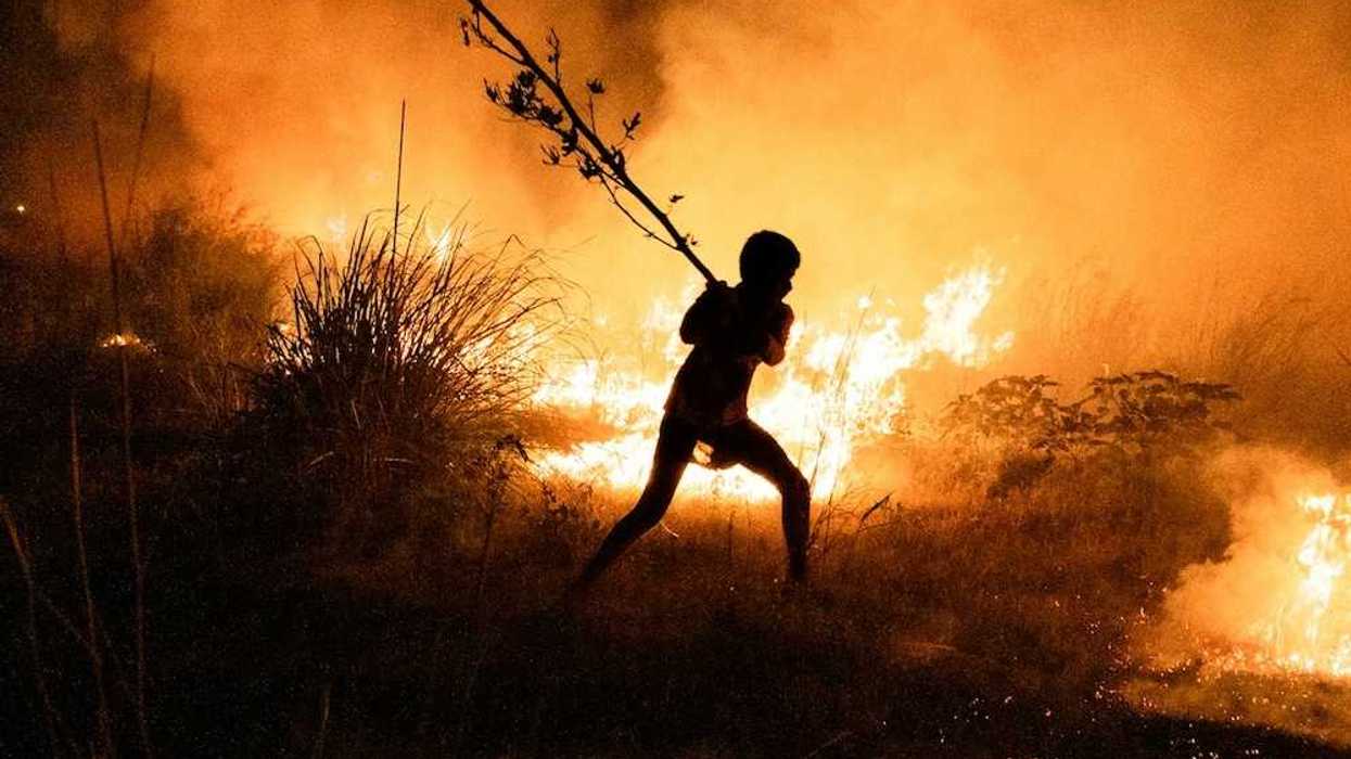 Boy fights wildfire by beating flames with a tree limb