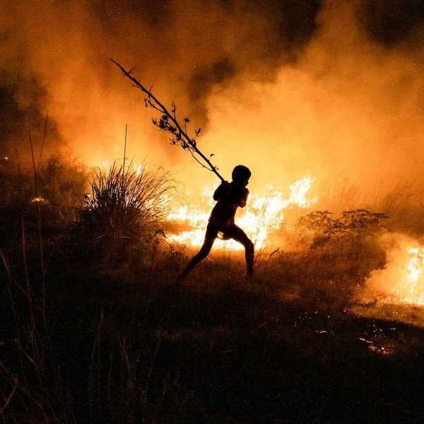Boy fights wildfire by beating flames with a tree limb