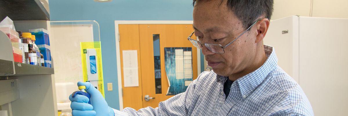 BPA chemical health effect