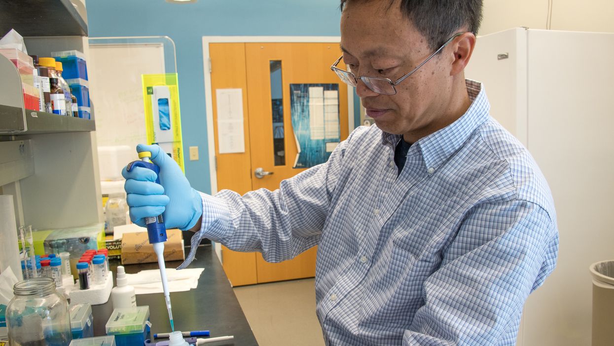 BPA chemical health effect