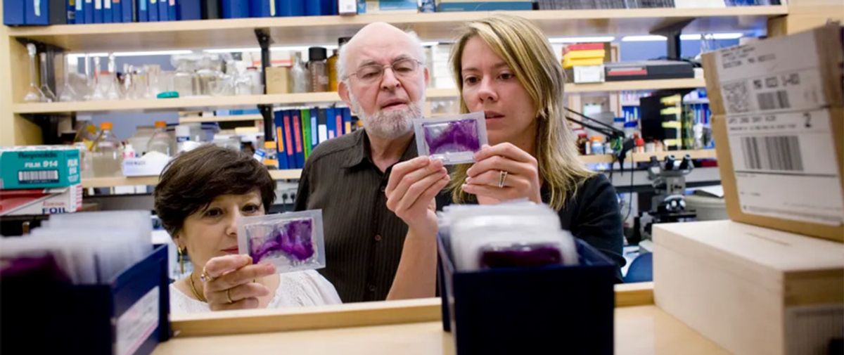 BPA pollution research being examined by scientists