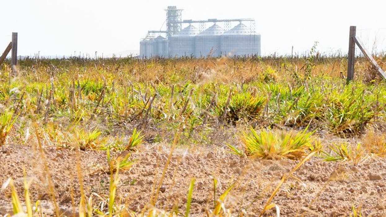 Brazil soy farming & child cancer
