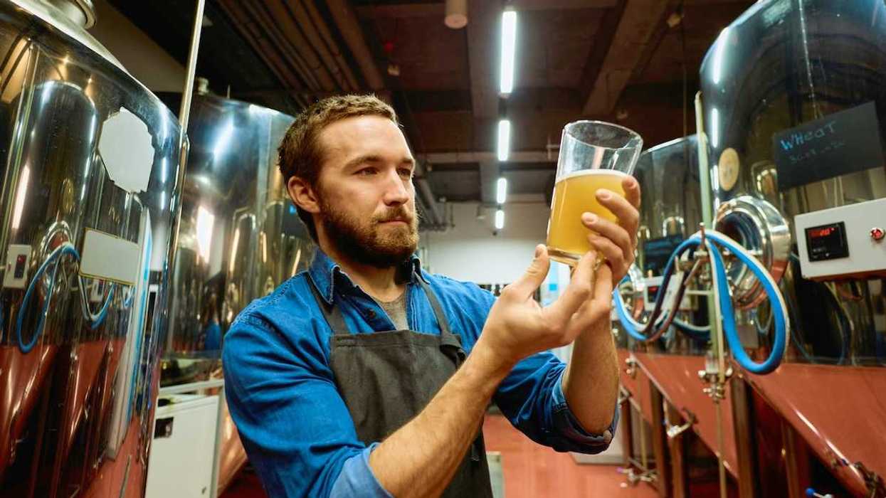 Brewmaster eyeballing a glass of beer - ostensibly assessing quality