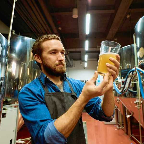 Brewmaster eyeballing a glass of beer - ostensibly assessing quality