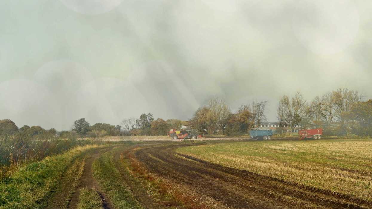 Brown and green farm fields under a foggy sky
